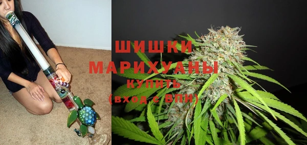 spice Осташков